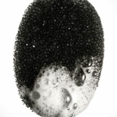Exfoliating Sponge